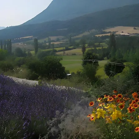 L'amandiere * Mevouillon