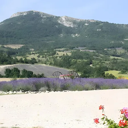 Holiday home L'amandiere