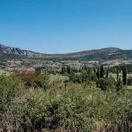L'amandière *